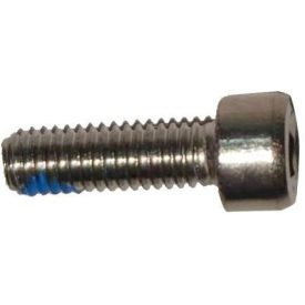 Screw (M30-HC100100-55-85)