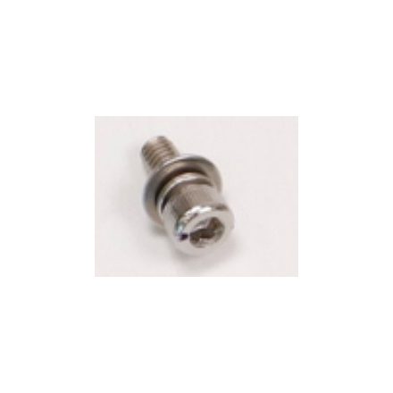 Screw M40-HCW01000070-070040-5104-N