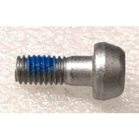 Screw M60-HT01530110-113060-5103-Y