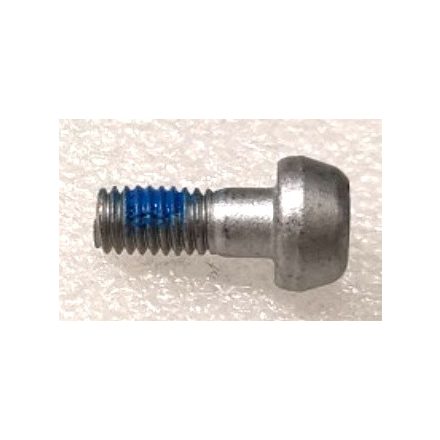 Screw M60-HT01530110-113060-5103-Y