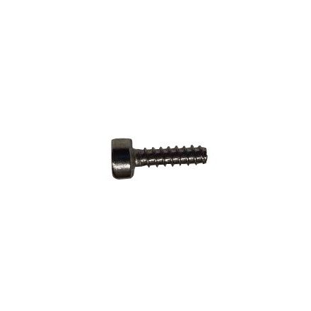 Screw T30-HC01000100-057030-5103-N